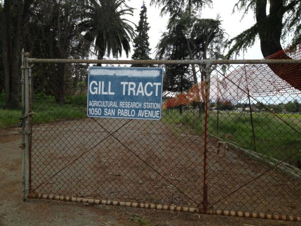 Gill Tract Fence